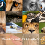 Voice-Over with Animals